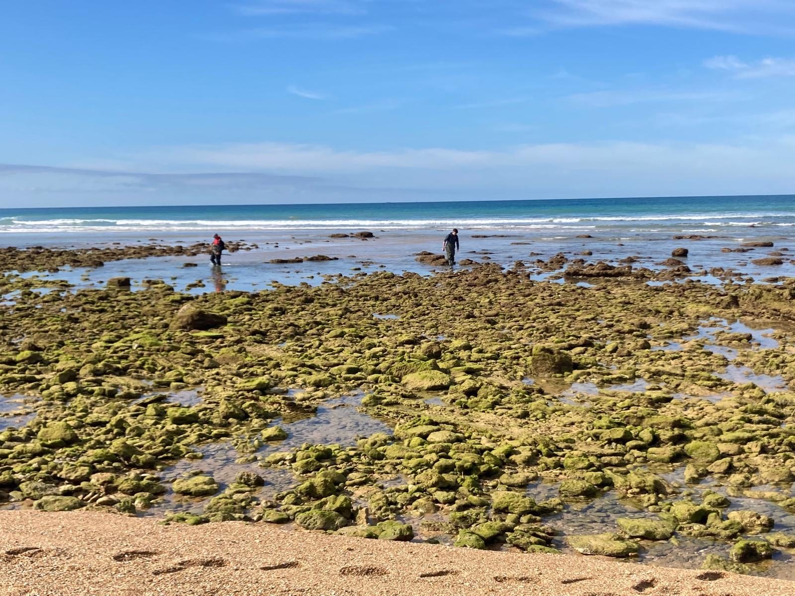 Felsstrand bei Ebbe mit Muschelsuchern