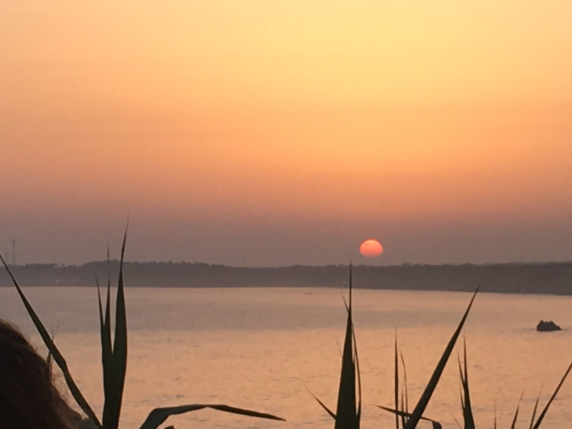 Sonnenuntergang über dem Meer mit Agave im Vordergrund