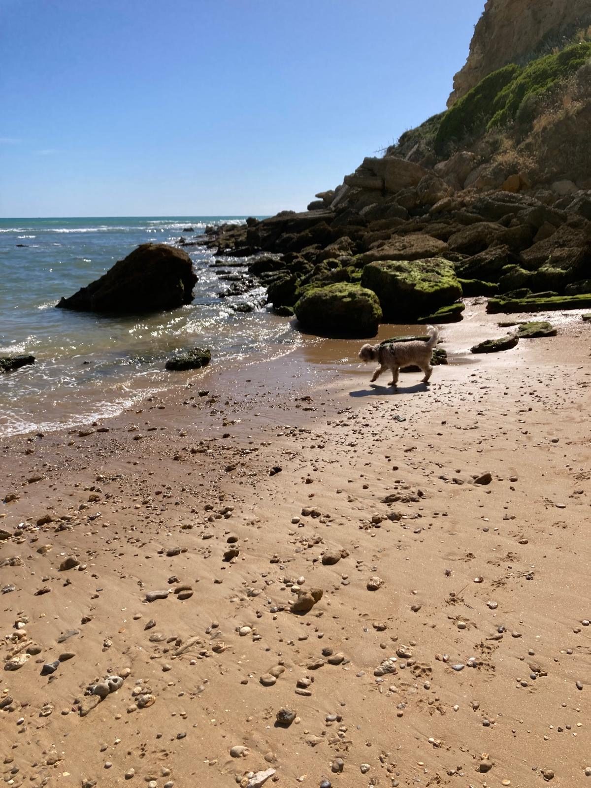 Sandstrand der Cala Puntalejo bei Ebbe mit aufragender Steilküste